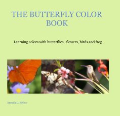 THE BUTTERFLY COLOR BOOK book cover