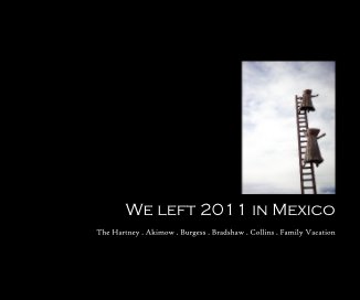 We left 2011 in Mexico book cover