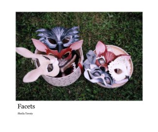 Facets book cover