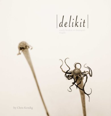 delikit book cover
