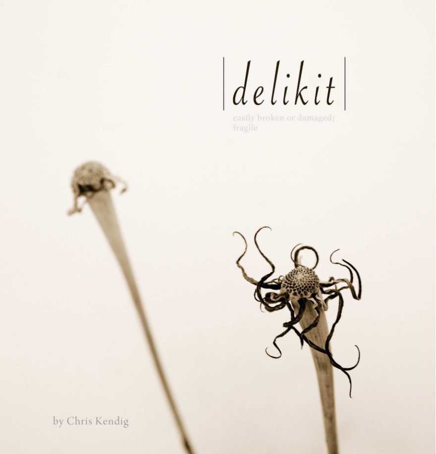 View delikit by Chris Kendig