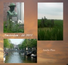 Amsterdam - été 2011 book cover