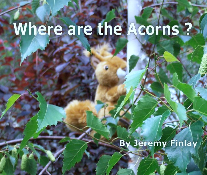 View Where are the Acorns ? by Jeremy Finlay