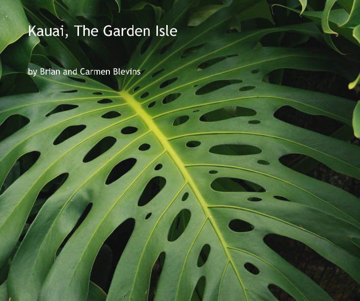 View Kauai, The Garden Isle by Brian and Carmen Blevins