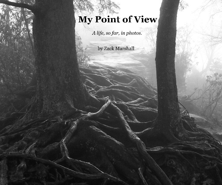 View My Point of View by Zack Marshall
