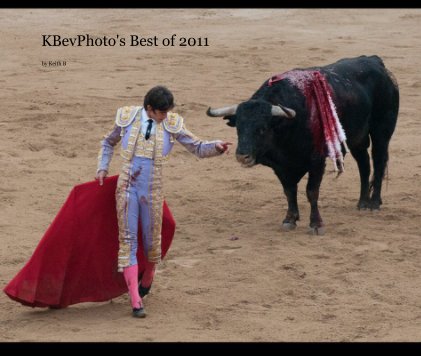 KBevPhoto's Best of 2011 book cover
