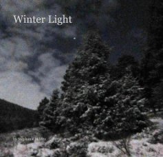 Winter Light book cover