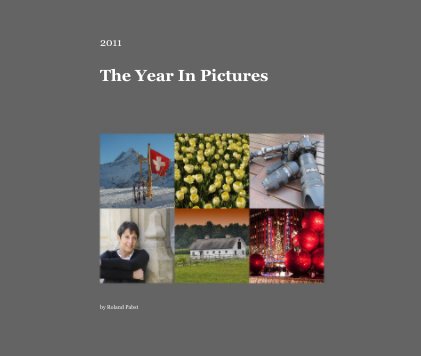 2011 The Year In Pictures book cover