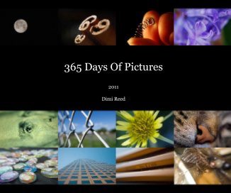 365 Days Of Pictures book cover
