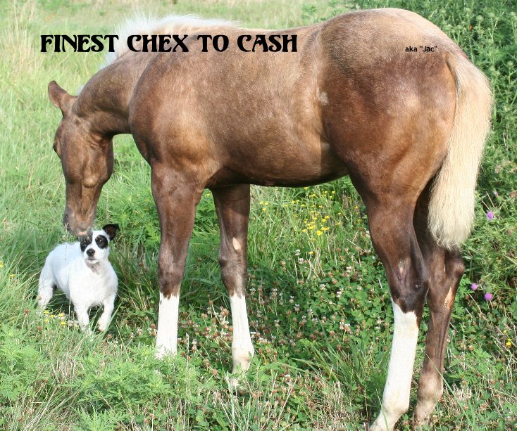 View Finest Chex To Cash aka "Jac" by Free Rein Designs
