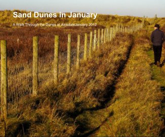Sand Dunes in January book cover