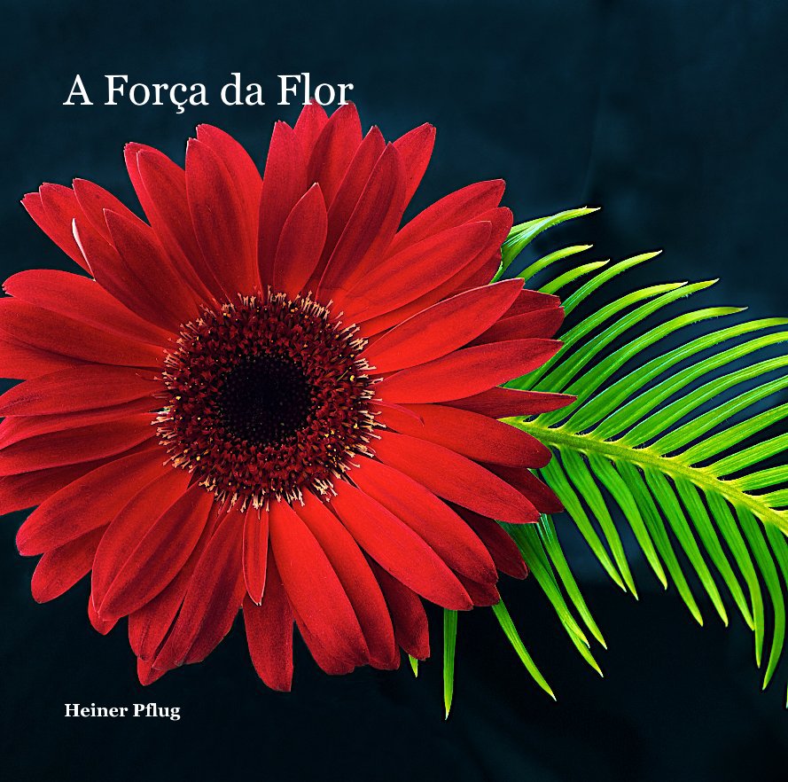 View A Força da Flor by Heiner Pflug