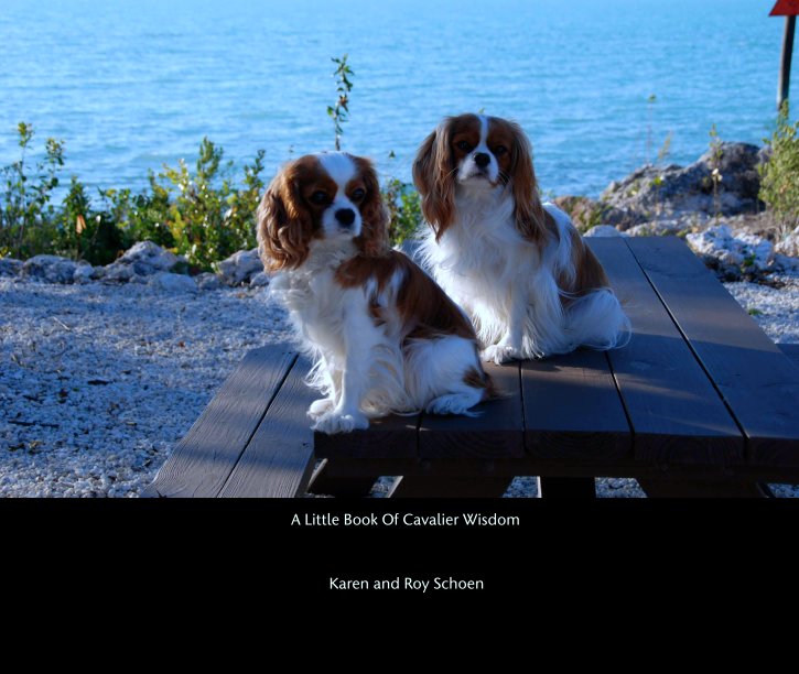 View A Little Book Of Cavalier Wisdom by Karen and Roy Schoen