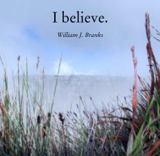 I believe.

William J. Branks book cover