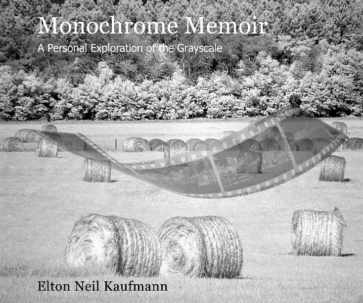 View Monochrome Memoir by Elton Neil Kaufmann