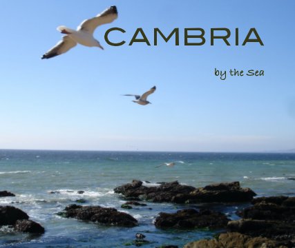 CAMBRIA: By the sea book cover