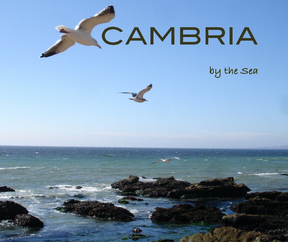 View CAMBRIA: By the sea by David Allen Ibsen