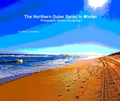 The Northern Outer Banks In Winter Photographic Abstract Renderings™ book cover