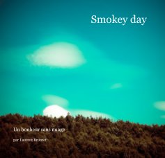 Smokey day book cover
