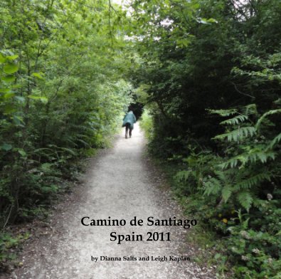 Camino de Santiago Spain 2011 book cover