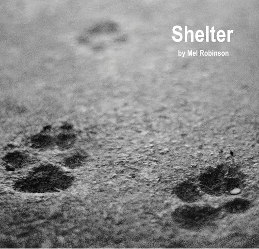 View Shelter by Mel Robinson