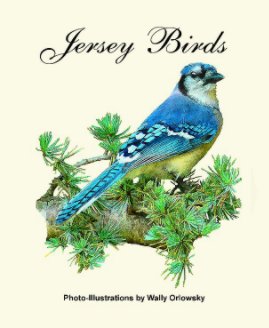 Jersey Birds book cover