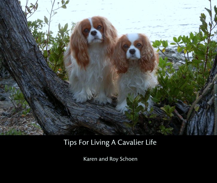 View Tips For Living A Cavalier Life by Karen and Roy Schoen