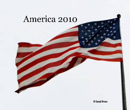 America 2010 book cover