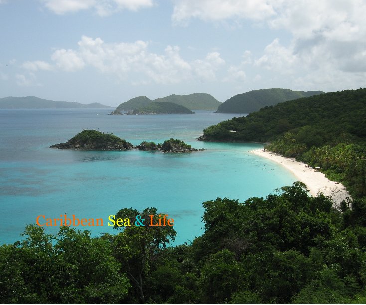 Bekijk Caribbean Sea & Life op Luther Miller