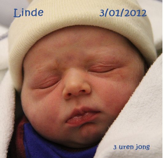 View Linde 3/01/2012 by 3 uren jong