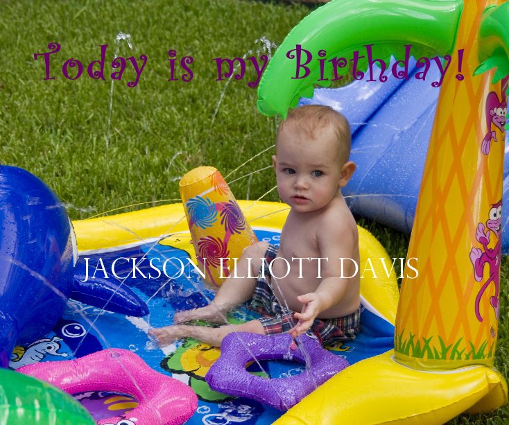 View Today is my Birthday! Jackson Elliott Davis by Camp Magique, Ltd.