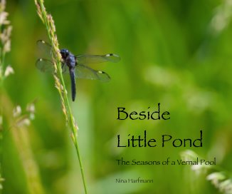 Beside Little Pond book cover