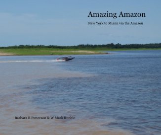 Amazing Amazon book cover