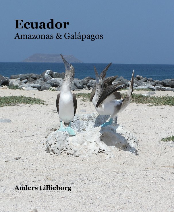 Ver Ecuador por Anders Lillieborg