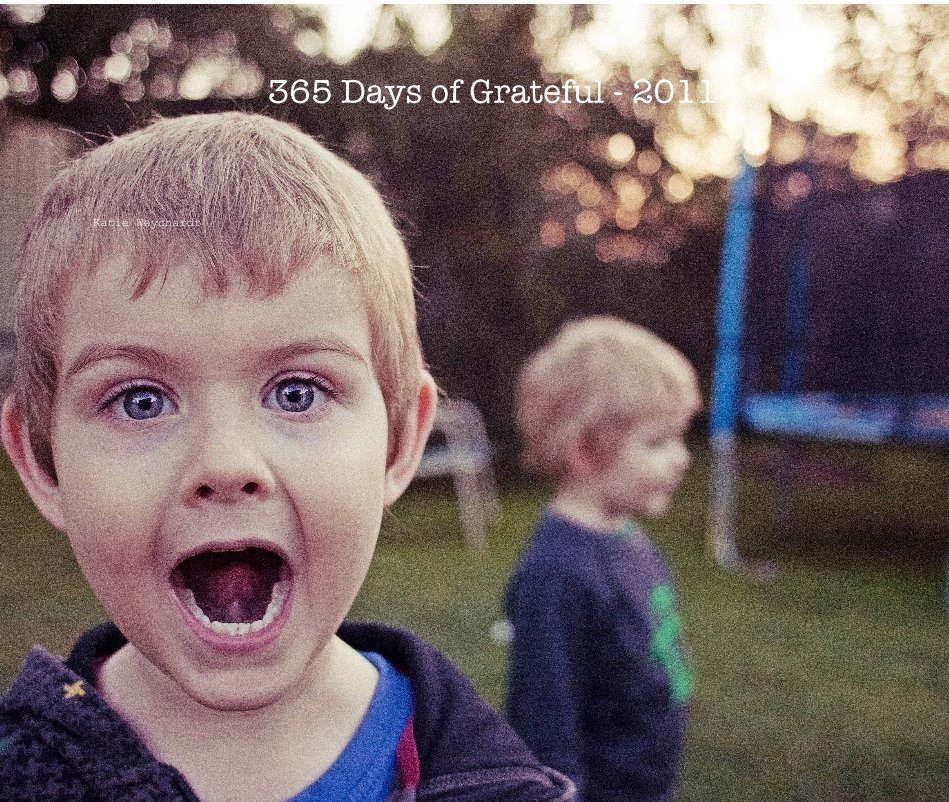 View 365 Days of Grateful - 2011 by Katie Weychardt