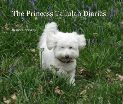 The Princess Tallulah Diaries book cover