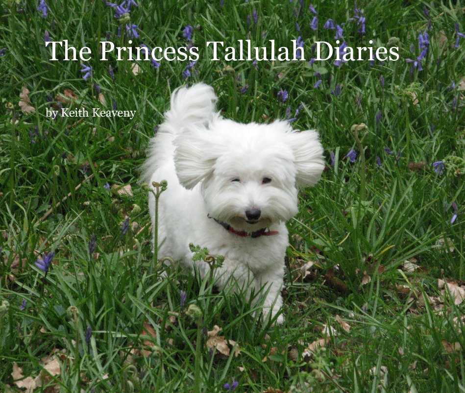 Bekijk The Princess Tallulah Diaries op Keith Keaveny