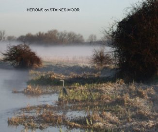 Herons of Staines Moor book cover