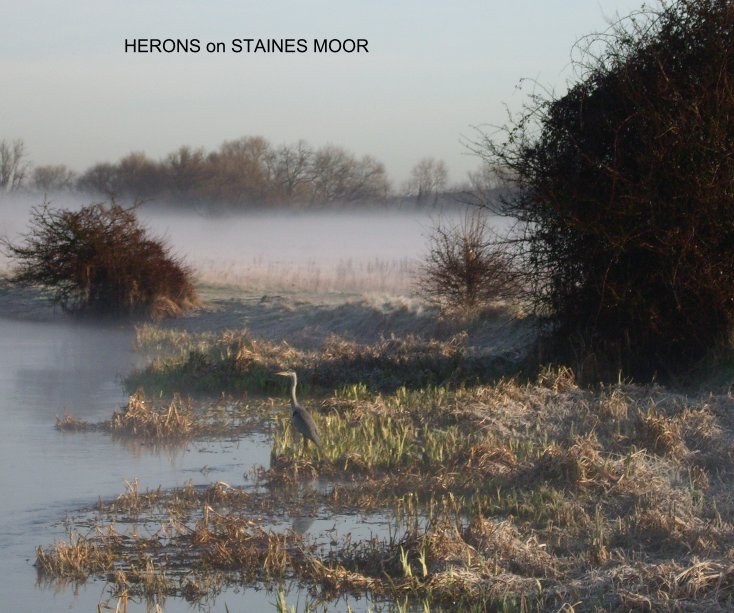 View Herons of Staines Moor by R.A.Goble