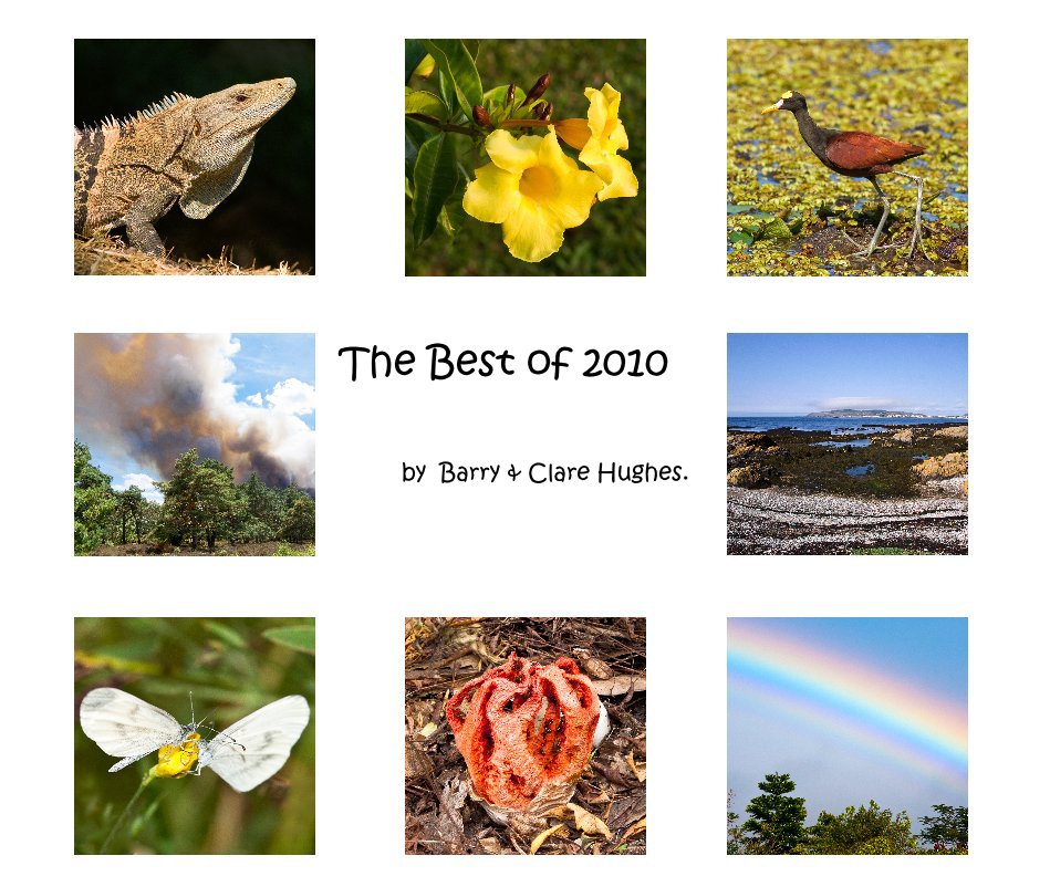 View The Best of 2010 by Barry & Clare Hughes.