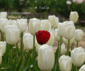 A Tulip book cover