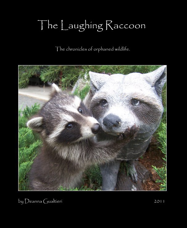 View The Laughing Raccoon by Deanna Gualtieri 2011