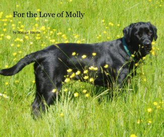 For the Love of Molly book cover