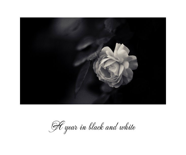 View A year in black and White by Lisa Epp