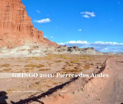 GRINGO 2011: Pierres des Andes 2eme version book cover