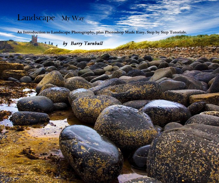 View Landscape My Way by Barry Turnbull
