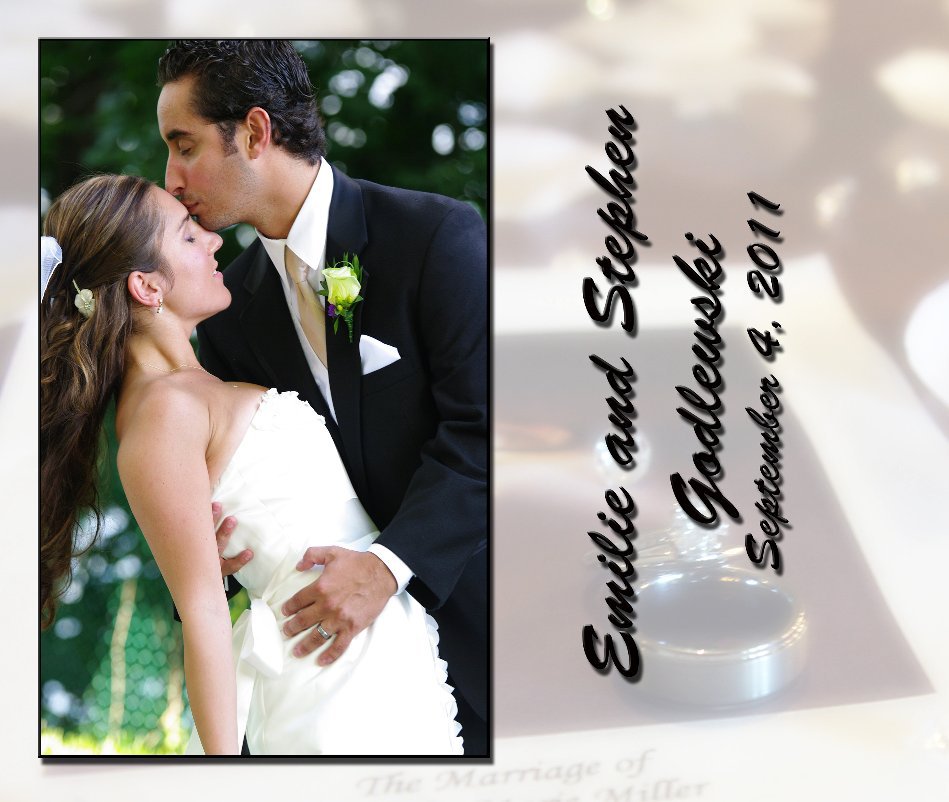 View Emilie and Stephen Godlewski Wedding by Michael Cullen Photography