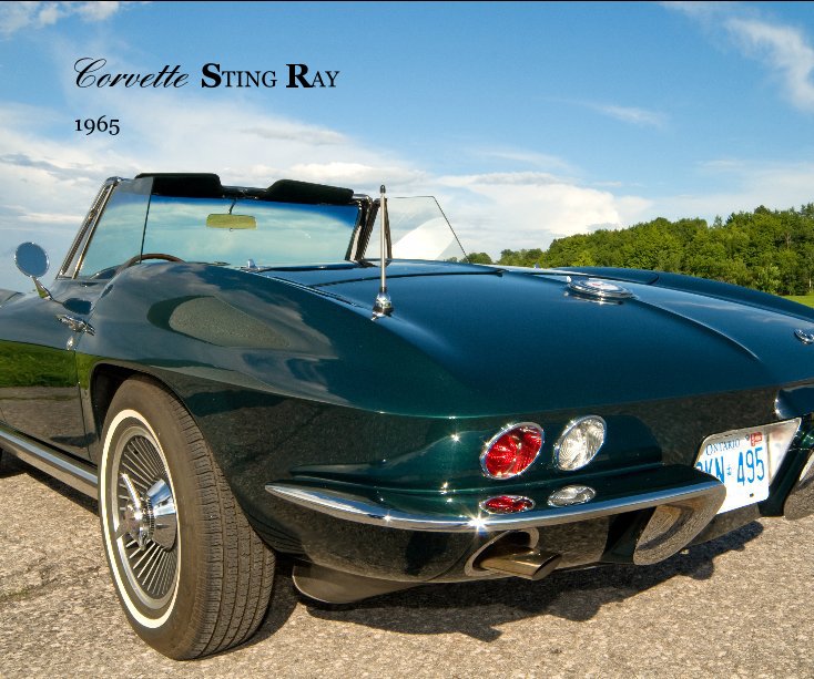 View Corvette STING RAY by Graham Sher