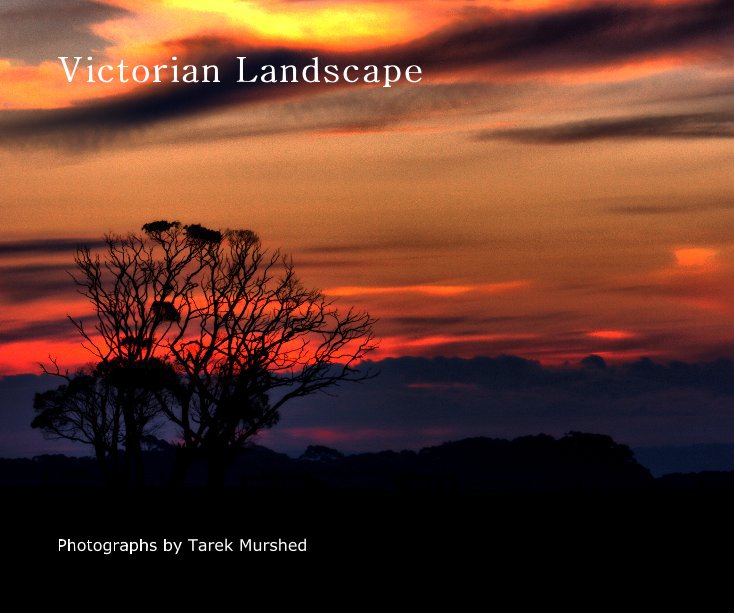 View Victorian Landscape by Tarek Murshed