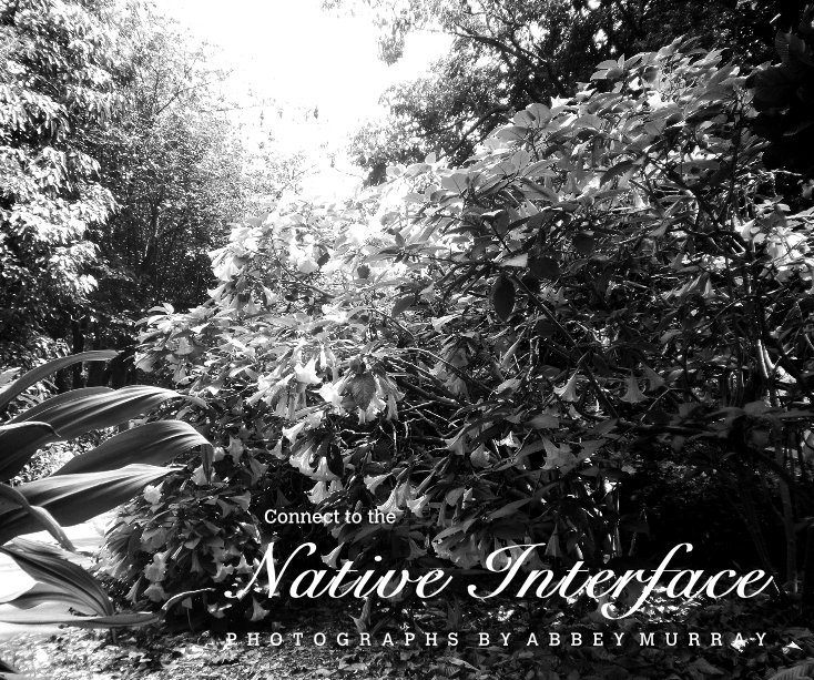 Ver Connect to the Native Interface por A B B E Y M U R R A Y